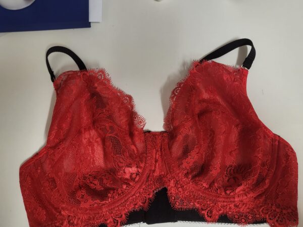 CURSO LENCERIA PLUS SIZES - Imagen 7